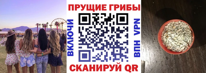 мориарти клад  mega рабочий сайт  Кудрово  Псилоцибиновые грибы MAGIC MUSHROOMS 