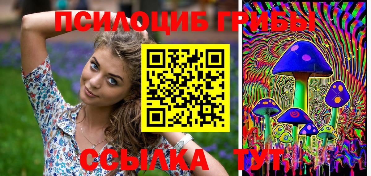 Псилоцибиновые грибы GOLDEN TEACHER  Галлюциногенные грибы прущие грибы  Вход с VPN  Кудрово 