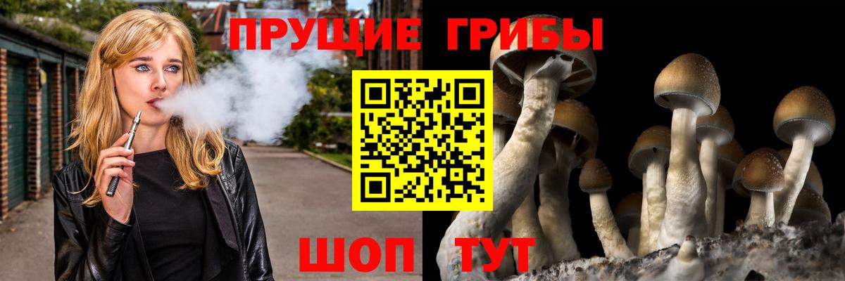 Псилоцибиновые грибы мухоморы Кудрово